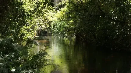  عکس رودخانه