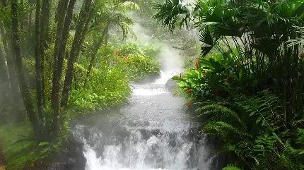  عکس رودخانه