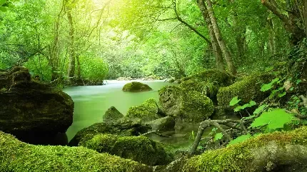  عکس رودخانه