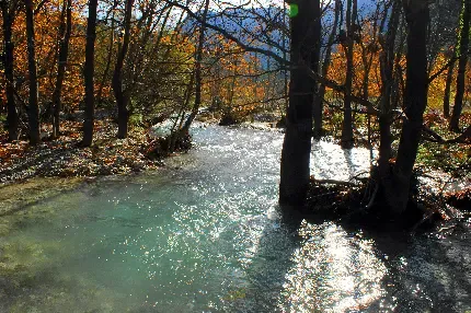  عکس رودخانه
