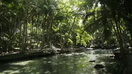  عکس رودخانه