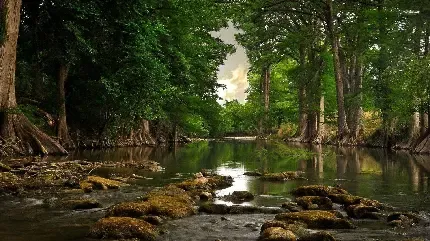  عکس رودخانه