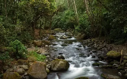  عکس رودخانه