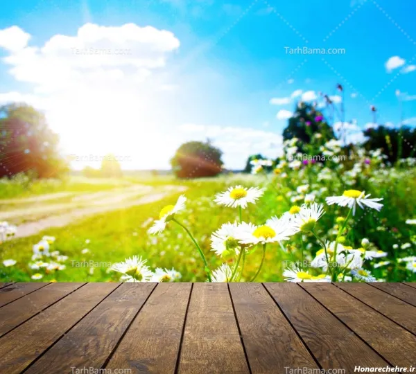  عکس طلوع خورشید طبیعی