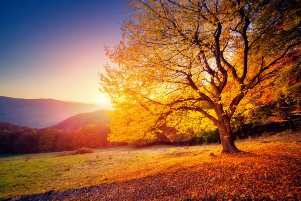  عکس طلوع خورشید در پاییز