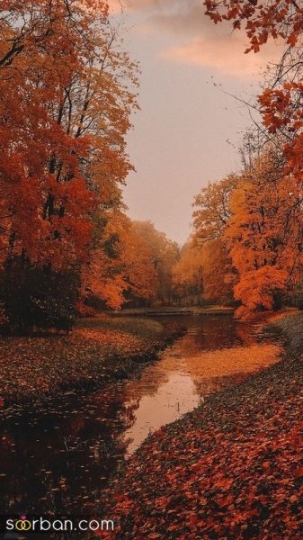  عکس صبح بارانی پاییزی