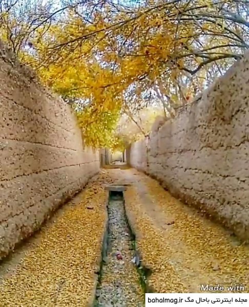  عکس صبح بخیر پاییزی