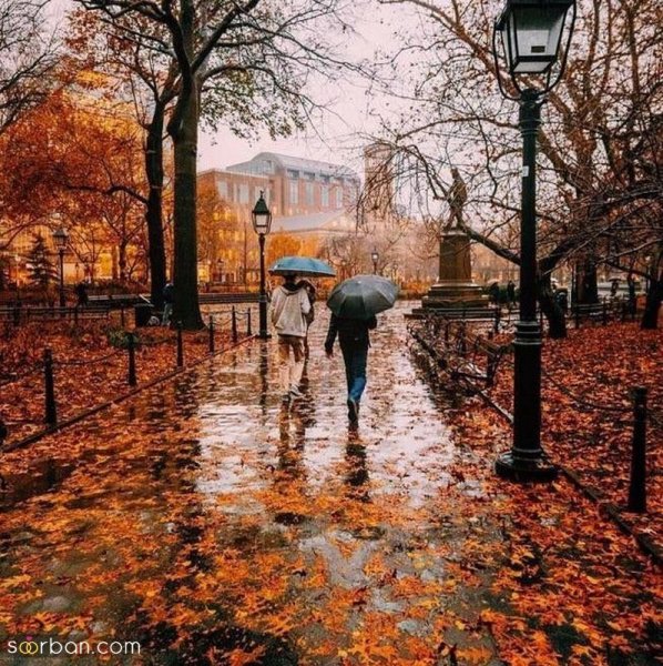 عکس باران پاییزی جدید