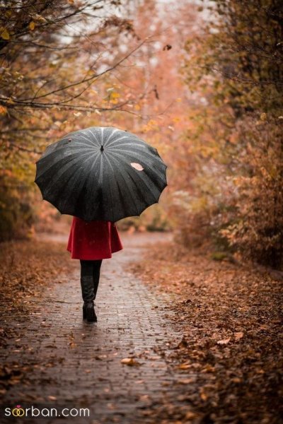 عکس باران پاییزی جدید