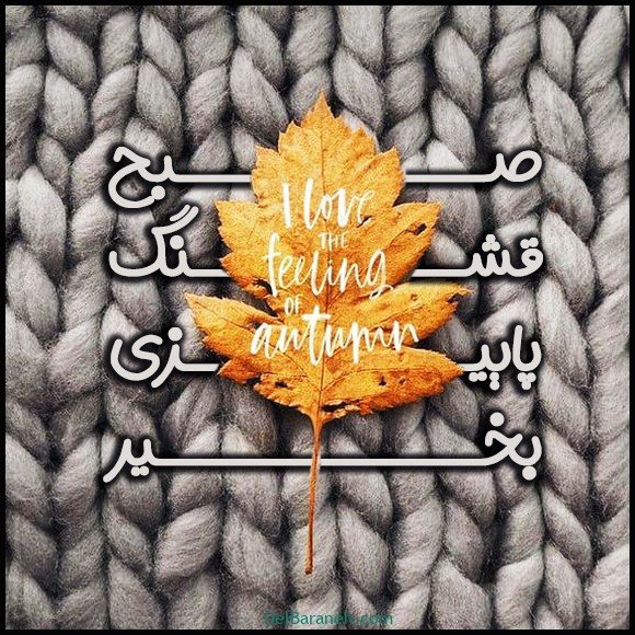  100 عکس صبح بخیر پاییزی عاشقانه