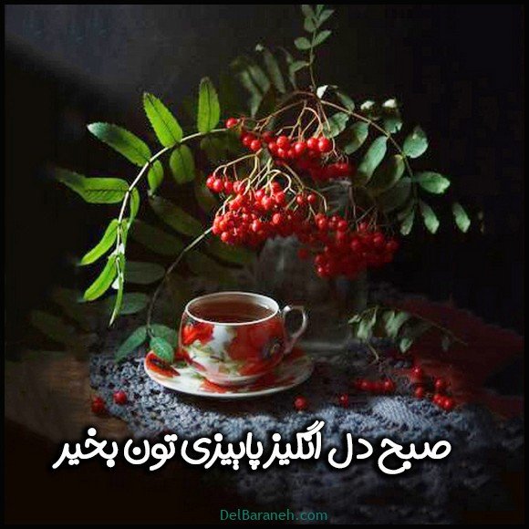  100 عکس صبح بخیر پاییزی عاشقانه