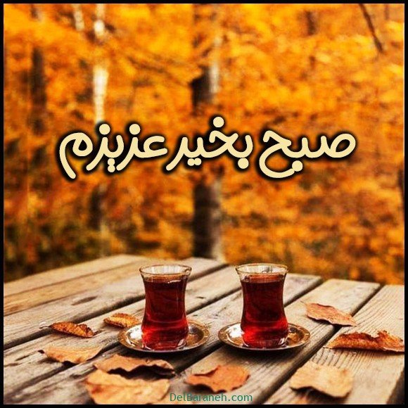  100 عکس صبح بخیر پاییزی عاشقانه
