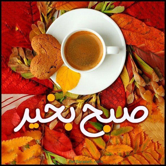  100 عکس صبح بخیر پاییزی عاشقانه
