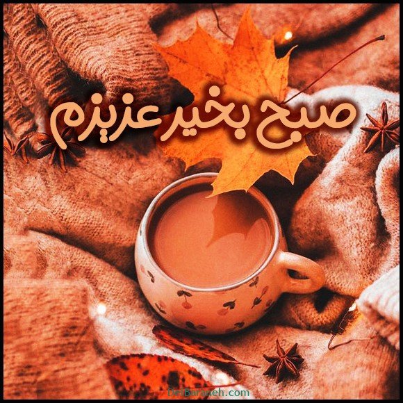  100 عکس صبح بخیر پاییزی عاشقانه