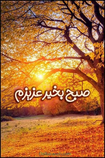 80 صبح بخیر پاییزی انگیزشی