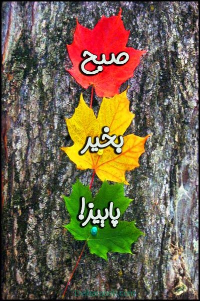 صبح بخیر پاییزی اینستا