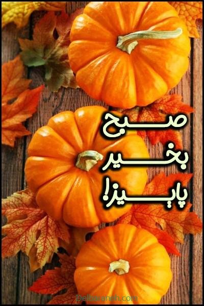صبح بخیر پاییزی اینستا