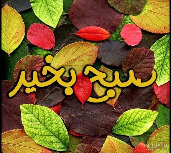 سلام صبح بخیر پاییزی همراه عکس گل