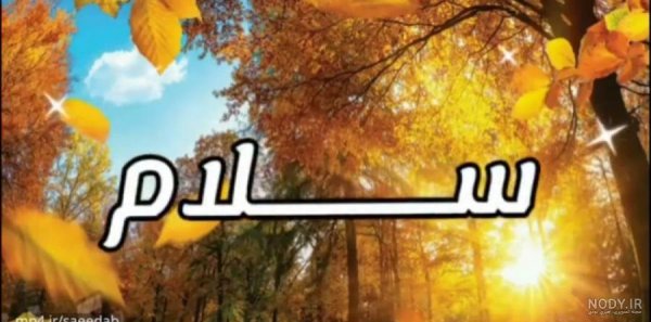 سلام صبح بخیر پاییزی همراه عکس گل