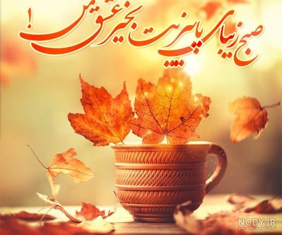 سلام صبح بخیر پاییزی همراه عکس گل