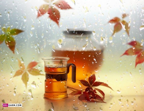  عکس پروفایل بارانی لاکچری