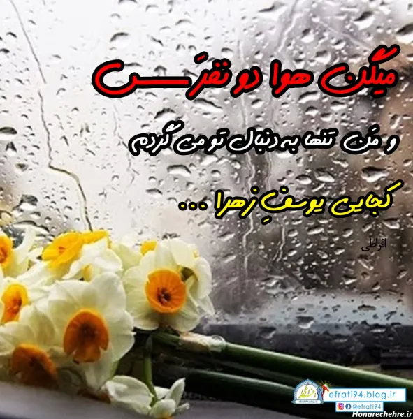  عکس باران و گل
