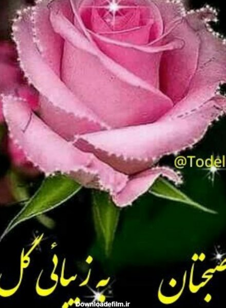 عکس صبح جمعه بخیر عشقم