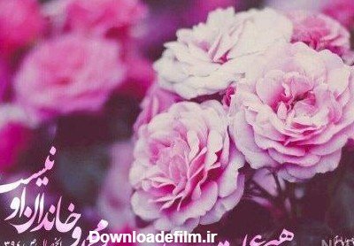 عکس صبح جمعه بخیر عشقم