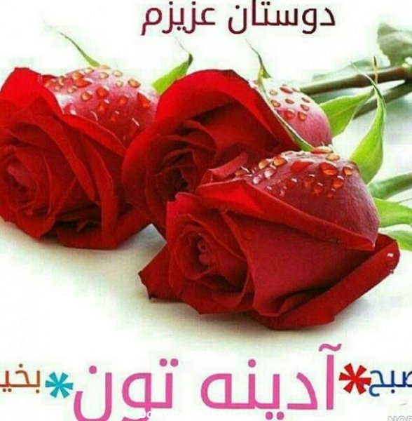عکس صبح جمعه بخیر عشقم
