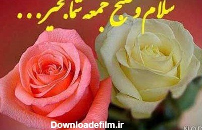 عکس صبح جمعه بخیر عشقم