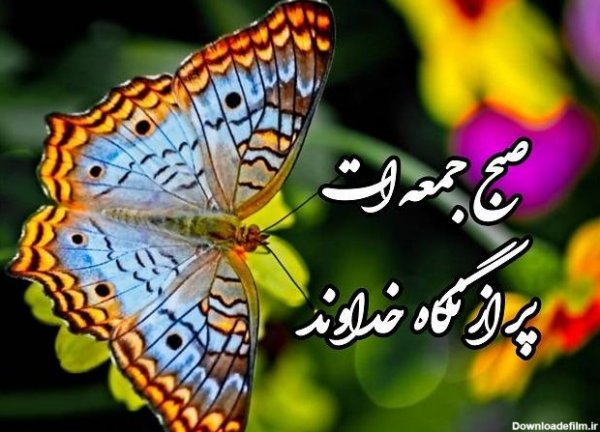 عکس صبح جمعه بخیر عشقم