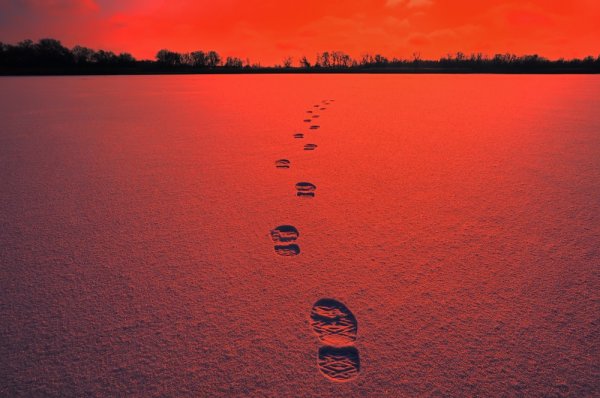 عکس مرد تنها در پاییز