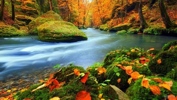  عکس از طبیعت پاییزی ایران