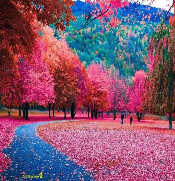  عکس از طبیعت پاییزی ایران