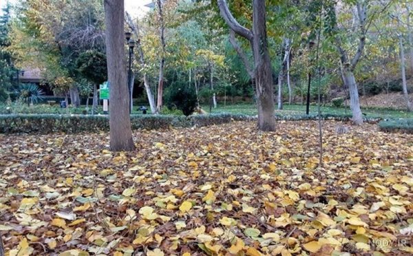  عکس از طبیعت پاییزی ایران