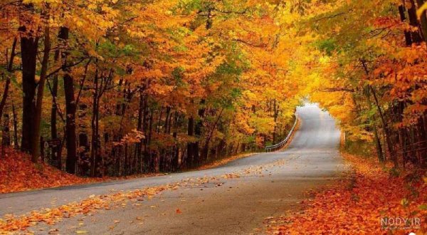  عکس از طبیعت پاییزی ایران