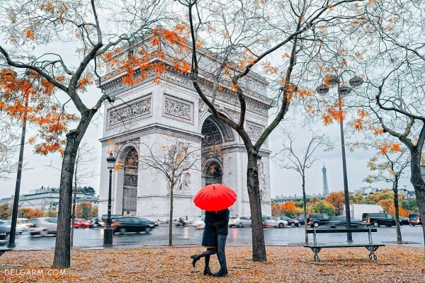  139 عکس برگ پاییزی با کیفیت بالا