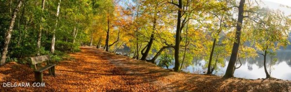  139 عکس برگ پاییزی با کیفیت بالا