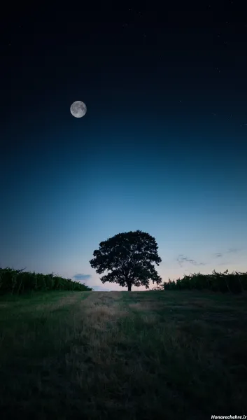  عکس ماه در شب واقعی از نزدیک