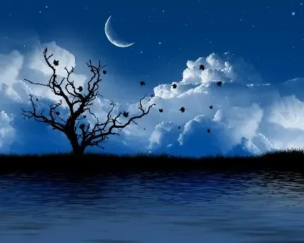 100 عکس ماه عاشقانه