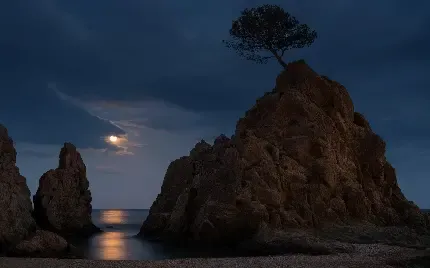  100 عکس ماه عاشقانه