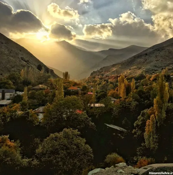  عکس طلوع خورشید در جنگل