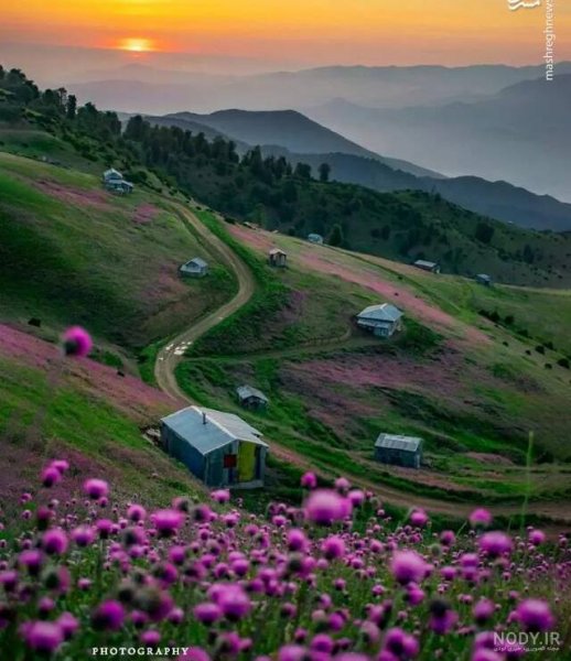  عکس طلوع خورشید در بهار