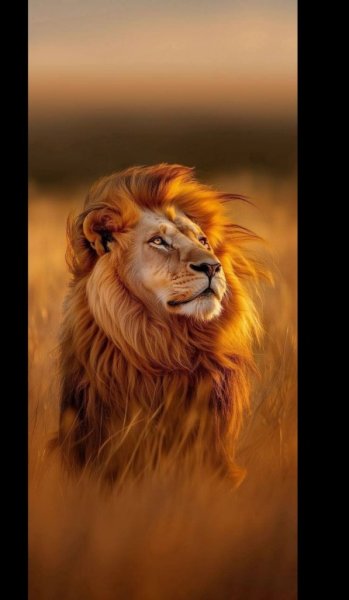  عکس غروب پاییز برای پروفایل
