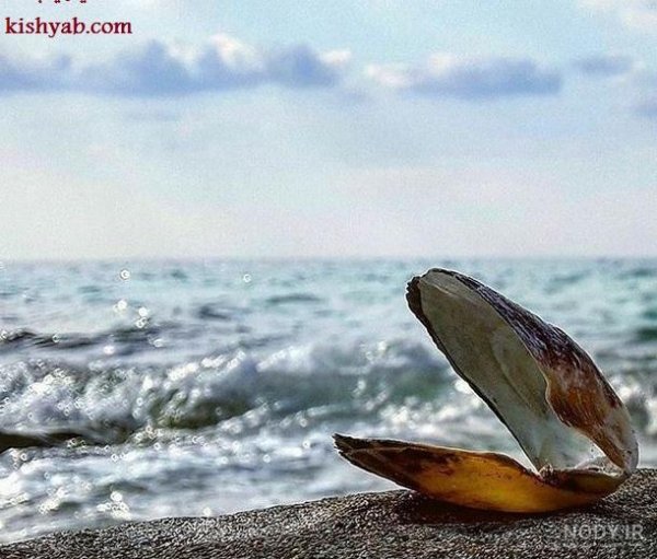  عکس ساحل نیلوفر کیش