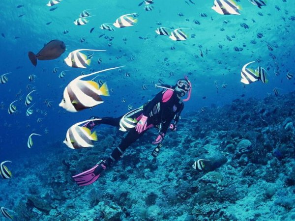 عکس از جزیره کیش با کیفیت بالا
