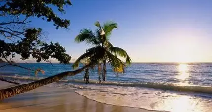 عکس کیش برای پروفایل