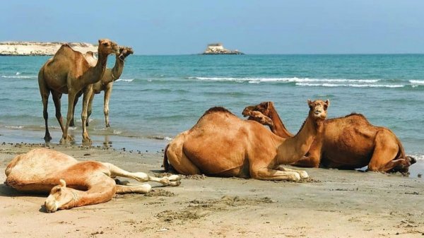 عکس جزیره قشم