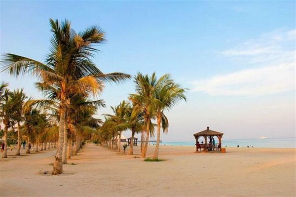  عکس کیش واقعی