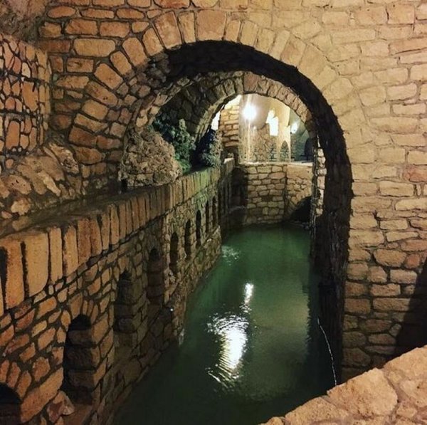  عکس کیش واقعی